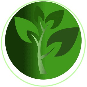 Bright Leaf Therapy and Assessment