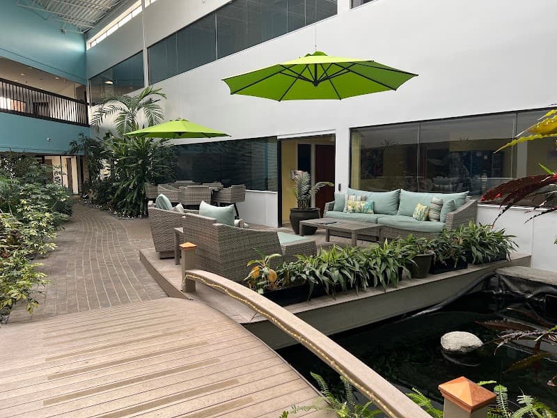 Mode Behavioral Therapy