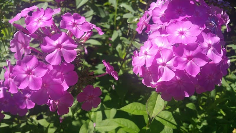 New Beginning Family Counseling & Training Center, Inc.