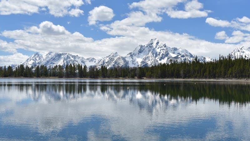 Signal Point Counseling, LLC