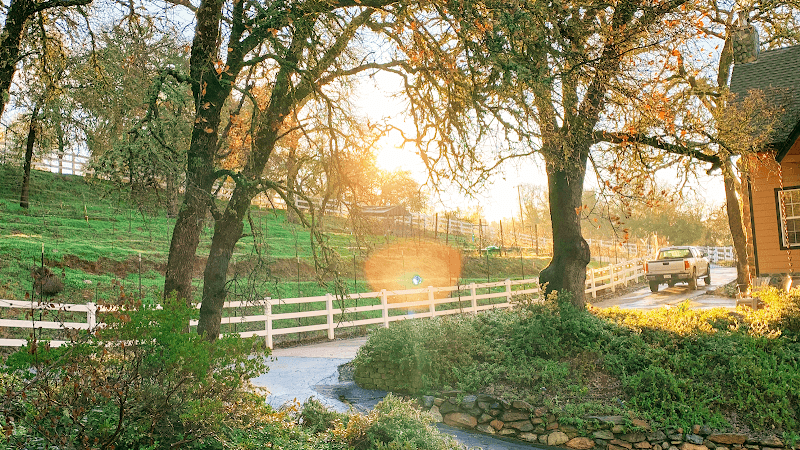 Soul Body Healing Center