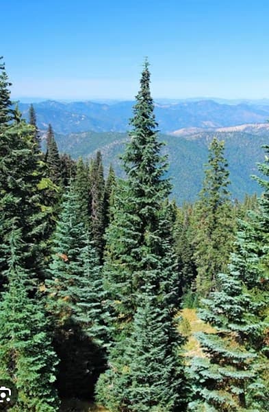 Stacy Brothers Counseling and Coaching