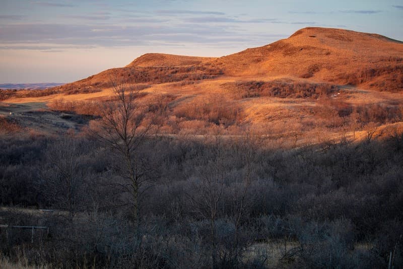 Sweet Briar Counseling, PLLC