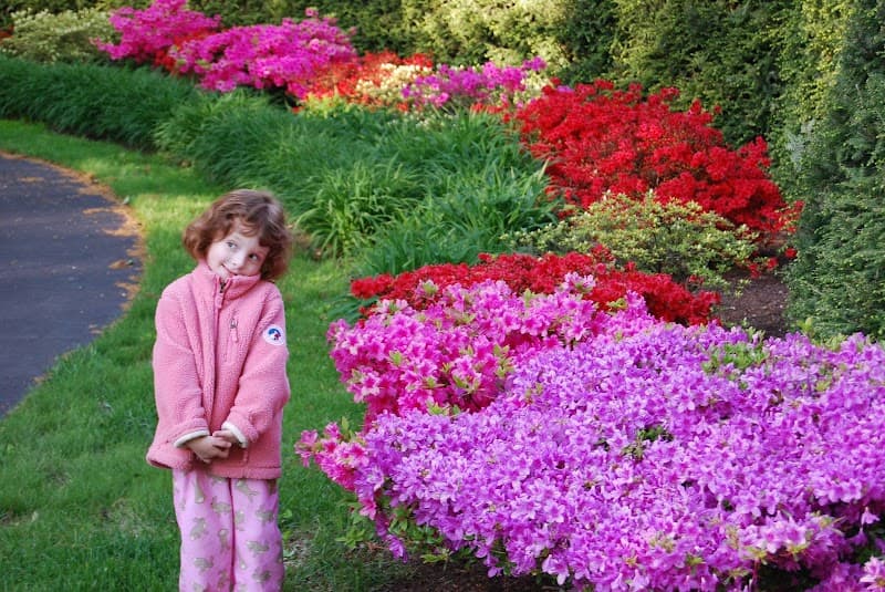 The Family Institute