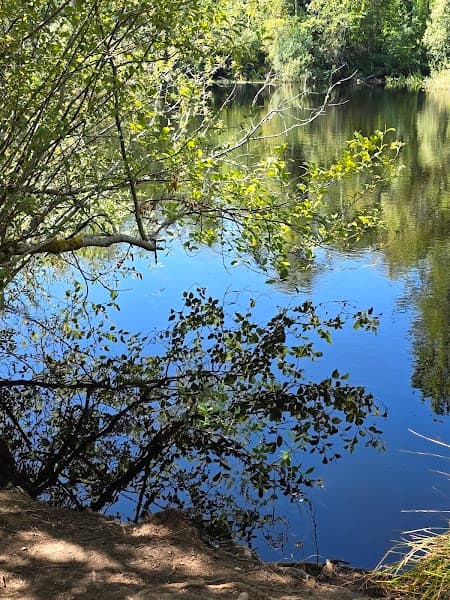 Untangled Web Counseling PLLC