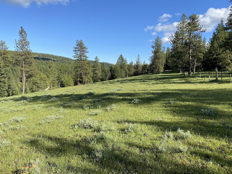 A New Day Counseling Services, LLC