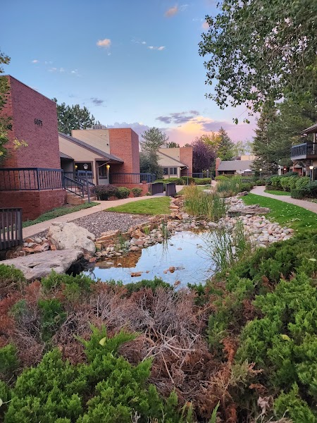 Child, Adolescent, and Adult Counseling of Denver