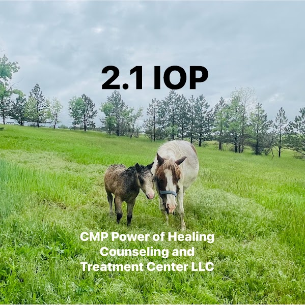 CMP Power of Healing Counseling and Treatment Center LLC