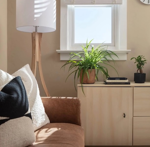 Denver Couples & Sex Therapy Arvada