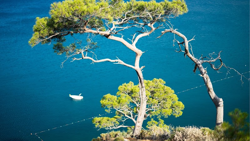 Faith Behavioral Health