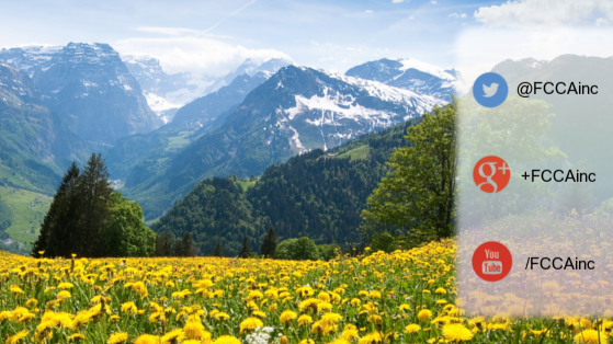 Family Care Counseling Associates