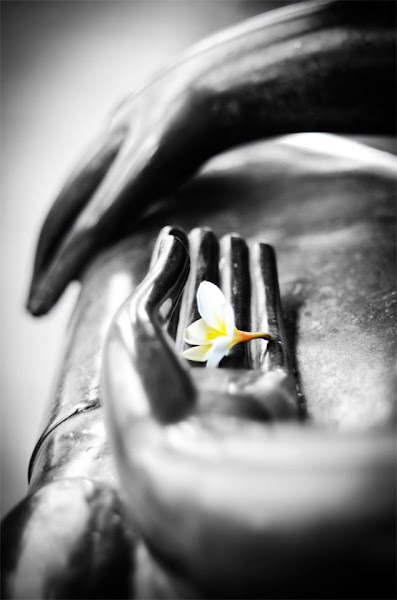 Inner Sun Healing Arts Counseling