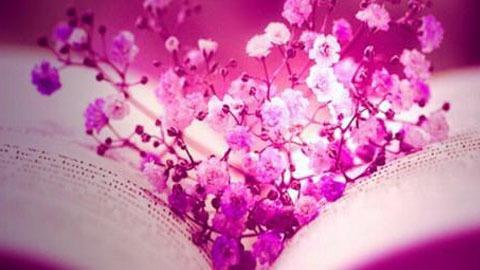 Kristy Mitchell, LPC