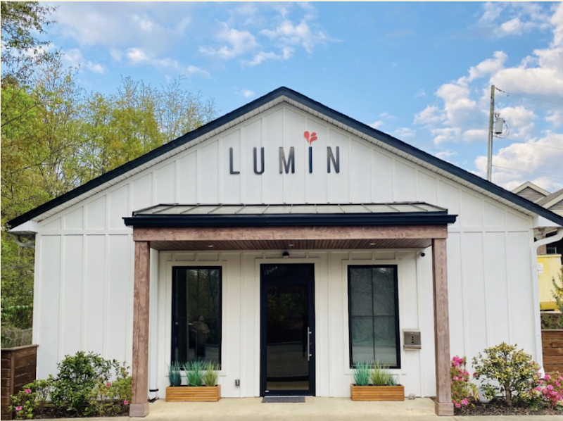 Lumin: Modern Therapy & Career Coaching