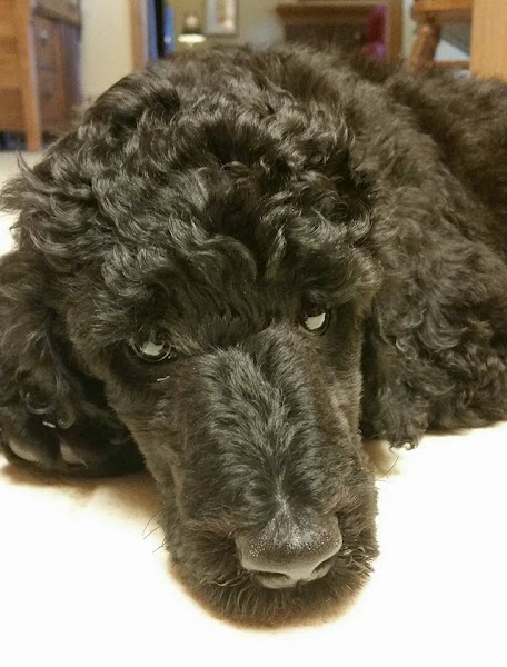 Marriage & Family Counseling Center Jan Eggiman, LMFT