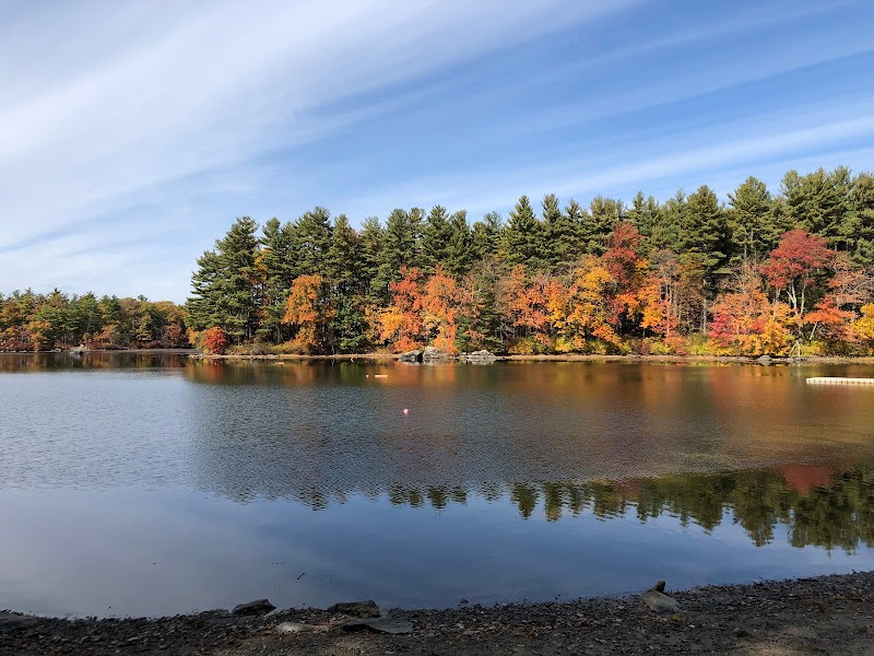 mindful counseling llc