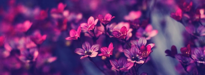 Mindful Montana Wellness, LLC