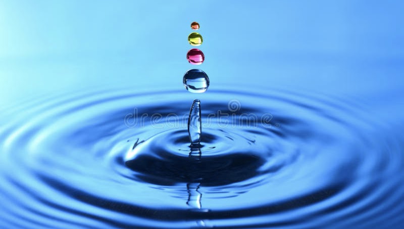 North Shore Counseling Solutions Inc.