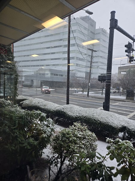 Northeast Health Services - Quincy