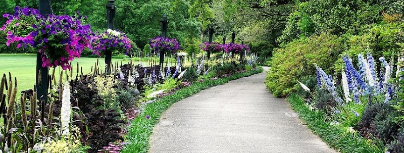 Priscilla Heslin, MSW, LICSW