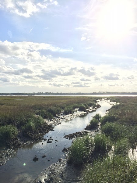 Salt Marsh Counseling - Elizabeth Martin, LMFT