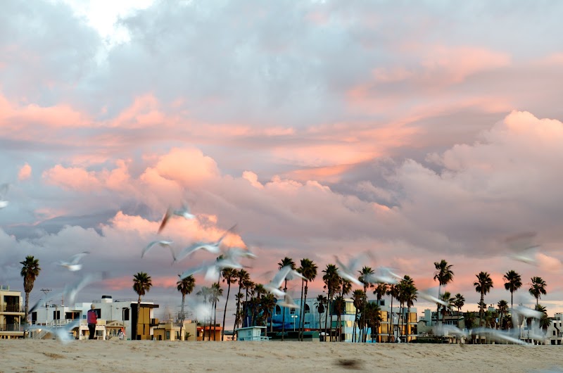 Santa Monica Psychotherapy Group