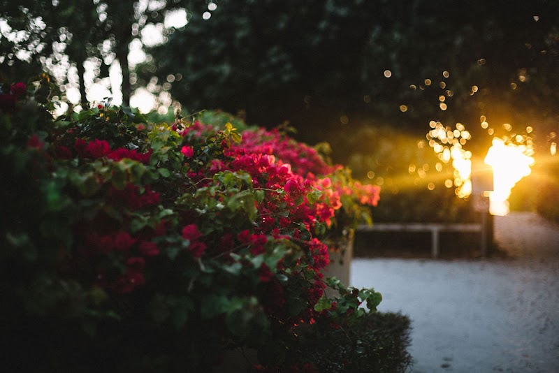 Shine the Light Counseling, LLC