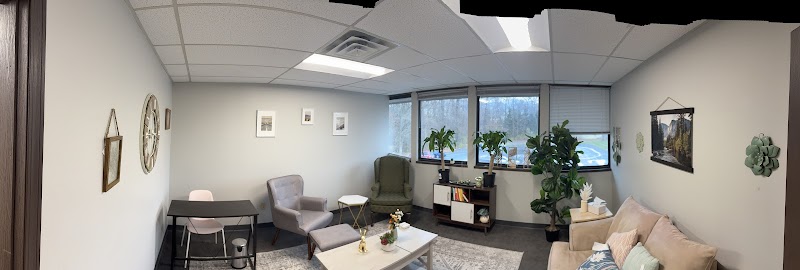 Spring Valley Counseling Services