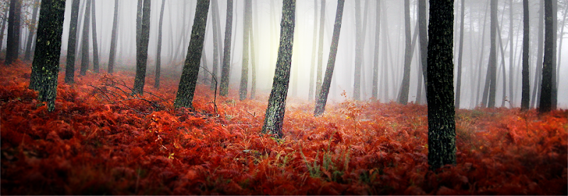 The Austin Stone Counseling Center - Main Office