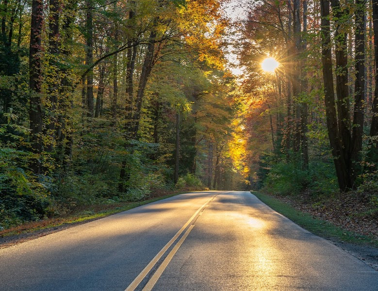 The Refuge Center for Counseling