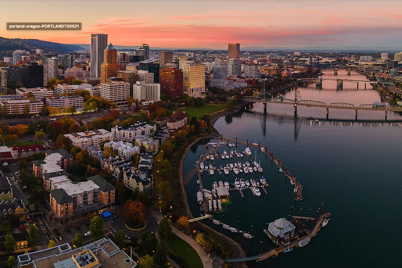 Thriving Center of Psychology