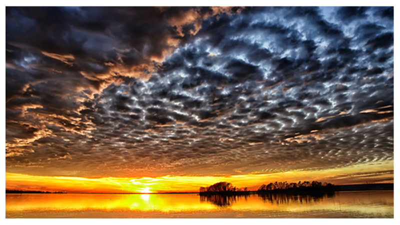 Turning Point Counseling