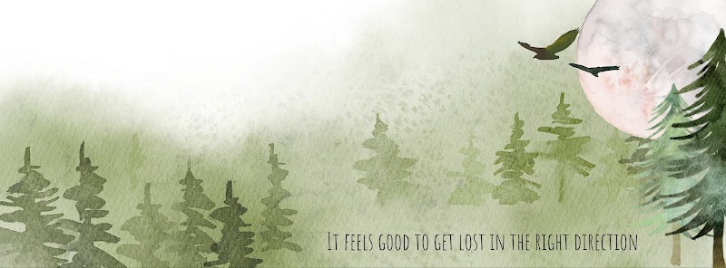 Up North Trauma Recovery Coaching