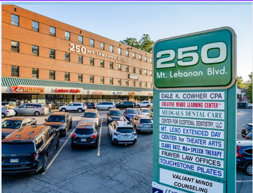 Valiant Minds Counseling, P.C.