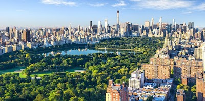 Wellness Road Psychology