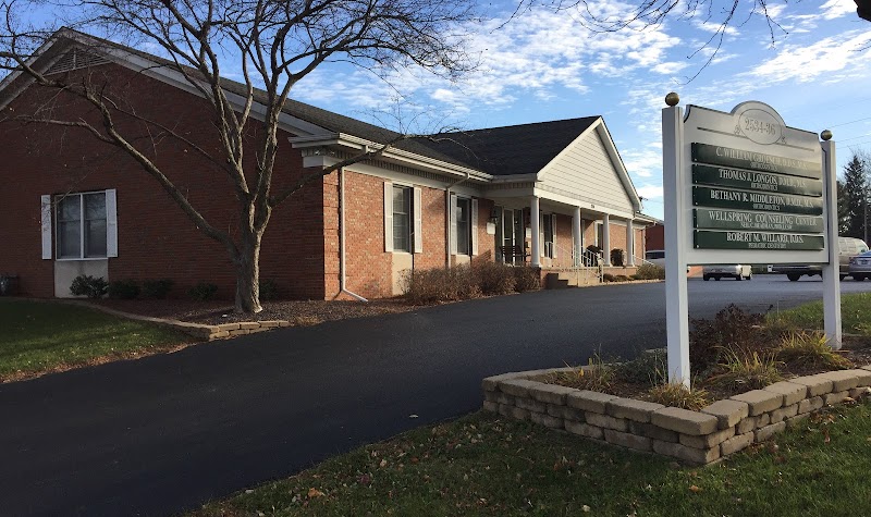 Wellspring Counseling, LLC